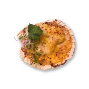 Gegratineerde coquille